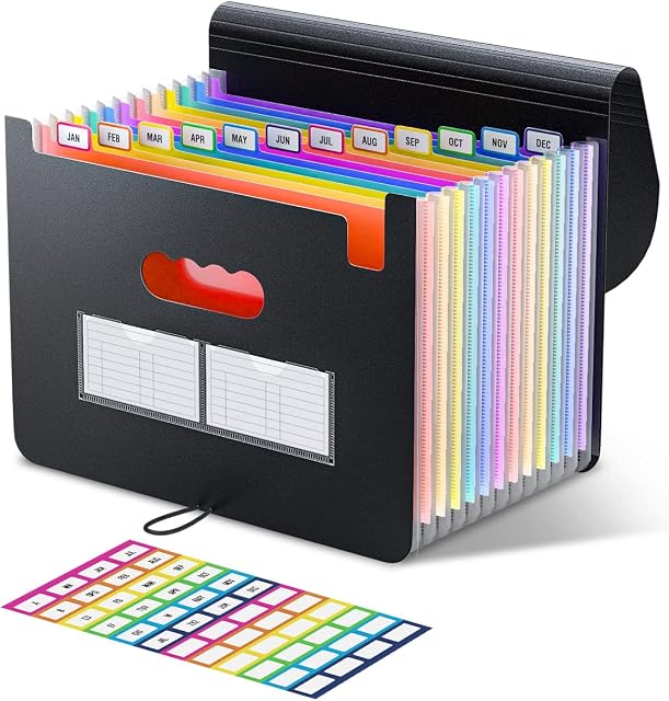 ThinkTex Accordian File Organizer, 12 Pockets Expanding File Folders, Portable Monthly Bill Receipt Organizer, Colorful Tabs, A4 Size
