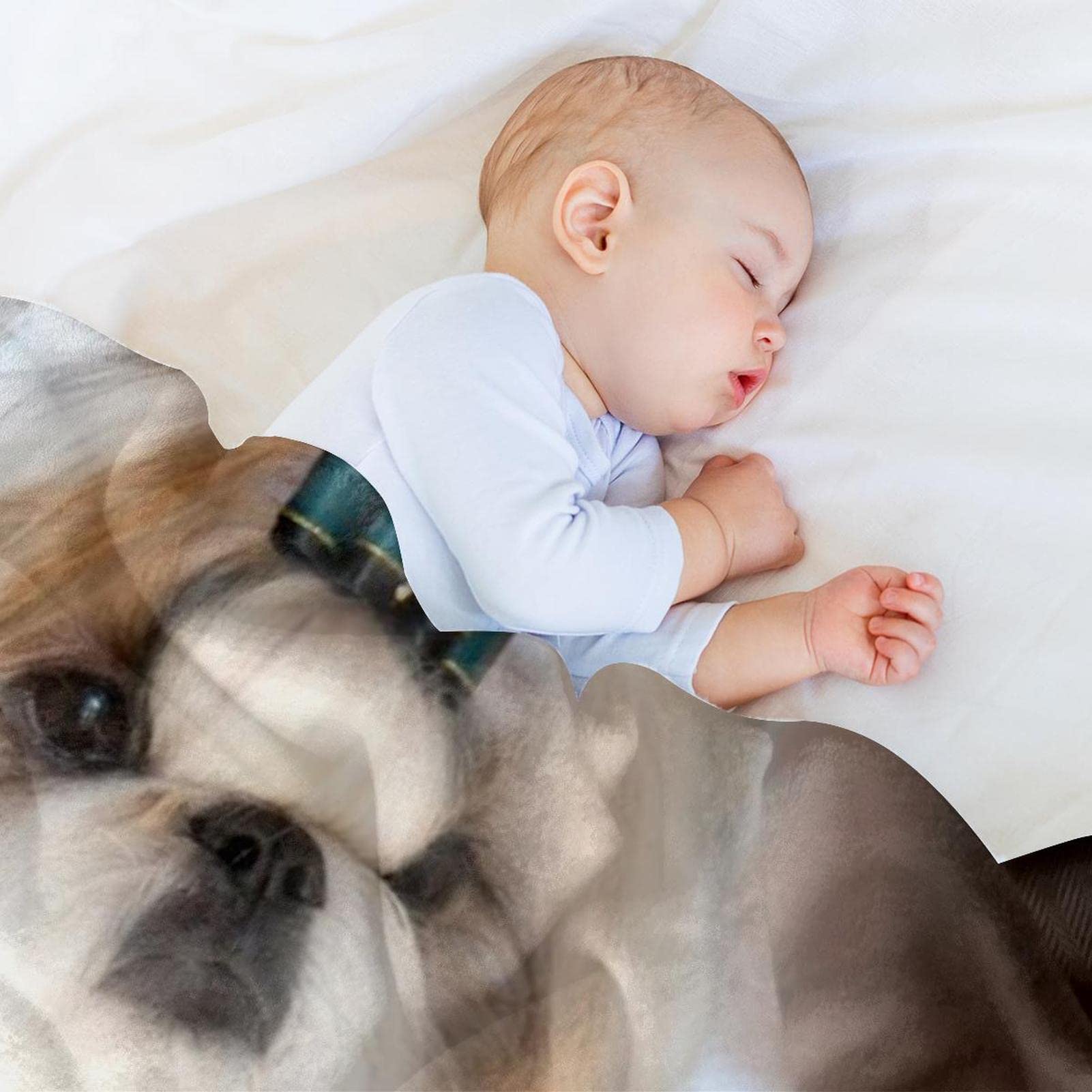 Couverture polaire super douce pour chien Shih Tzu Chiot