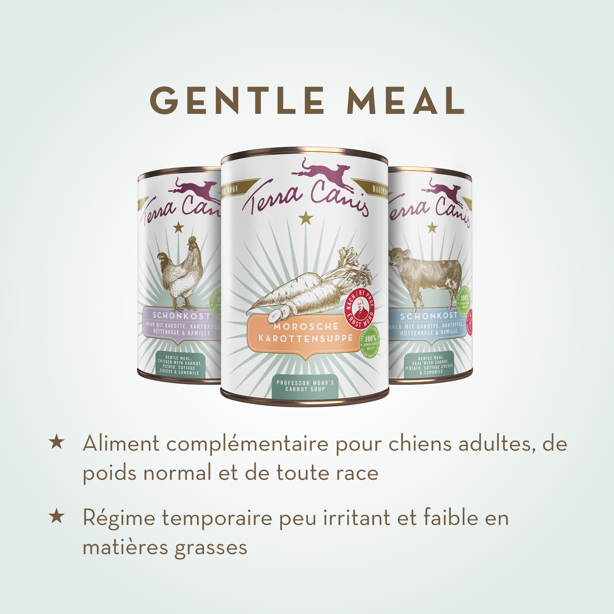 Terra Canis Veau, Carotte & fenouil - Aliments Gentle Meal régime Gastro-intestinal, 6x800g I Aliment pour Chien 1re qualité, 100% aux Standards de l’Alimentation Humaine I Pauvre en allergènes