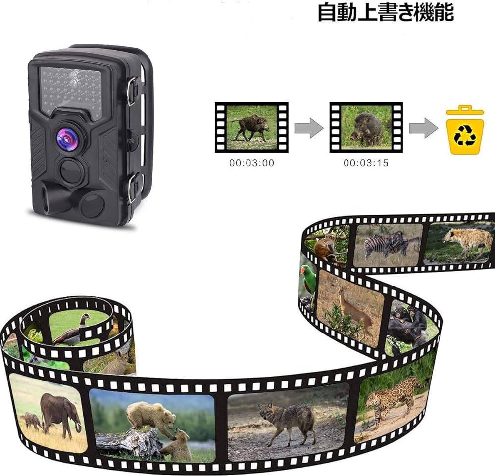 防犯カメラ 小型 トレイルカメラ 2400万画素 動体検知 電池式 自動上書録画 防犯カメラ 小型 トレイルカメラ 2400万画素 動体検知 電池式