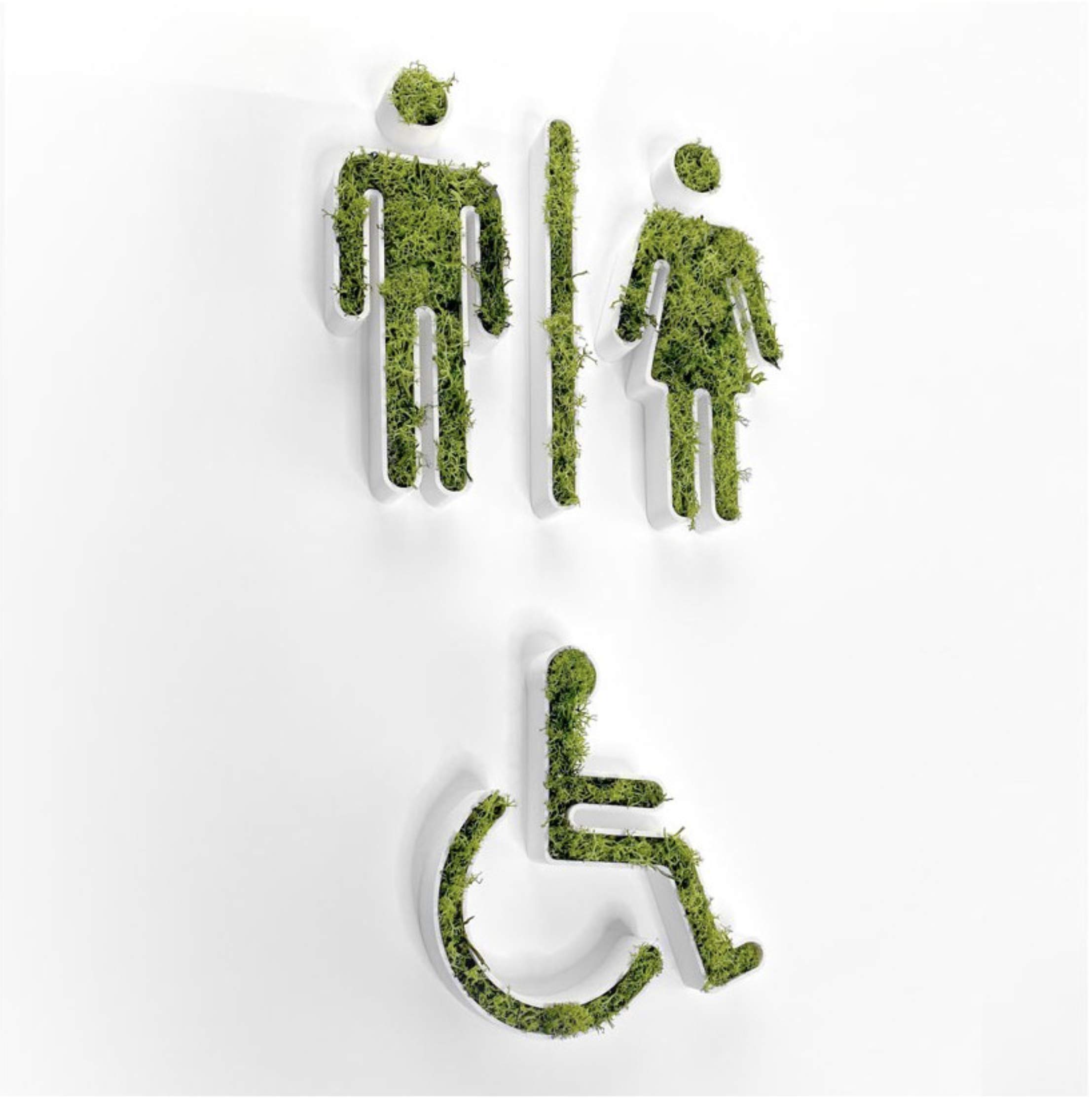 Pictogramas con musgo preservado | Señalización baños | Diferentes materiales | Decoración | (CHICO/CHICA, MADERA)