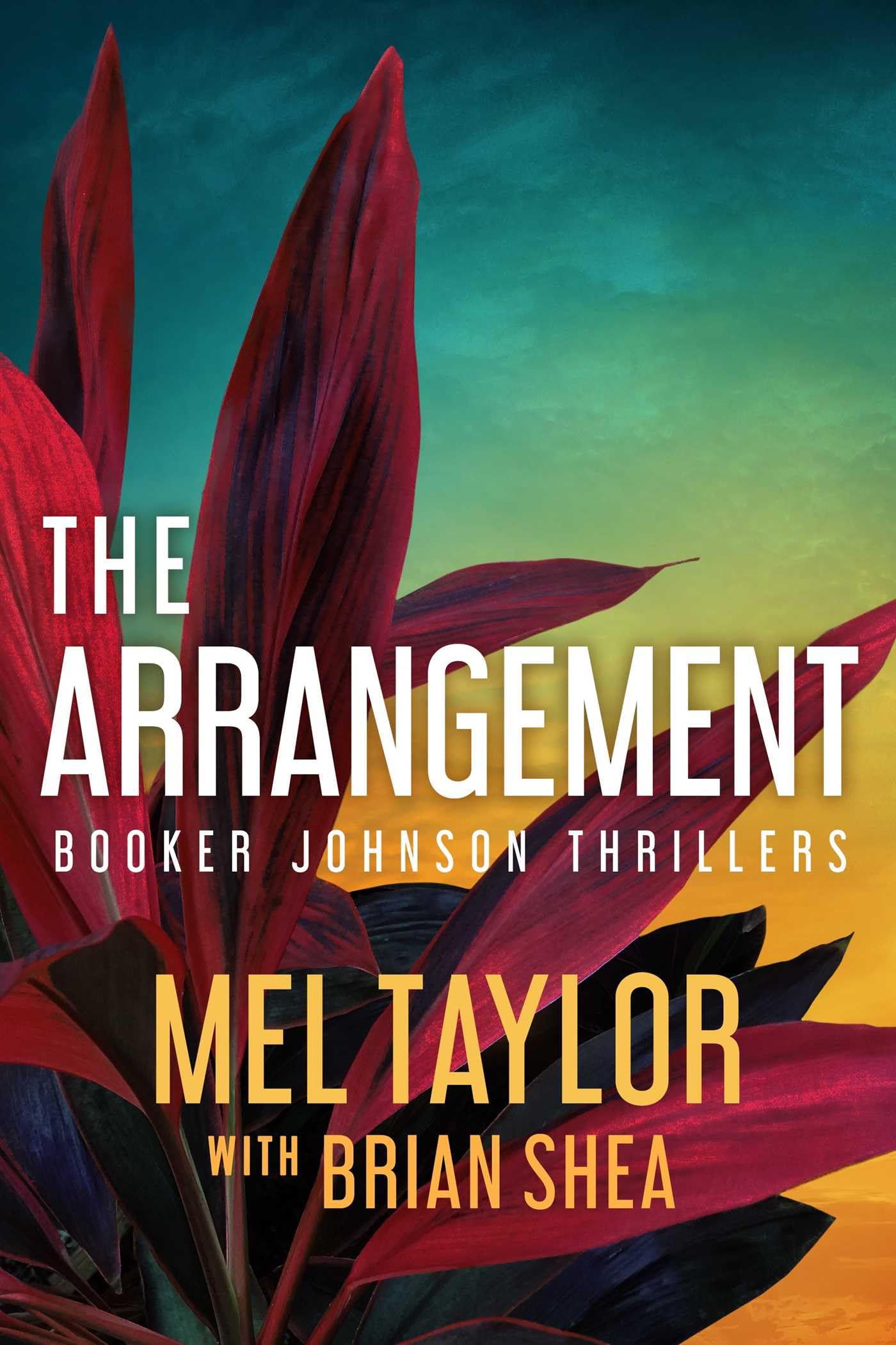 Buy The Arrangement: 2 (Booker Johnson Thrillers) — BookShops.in