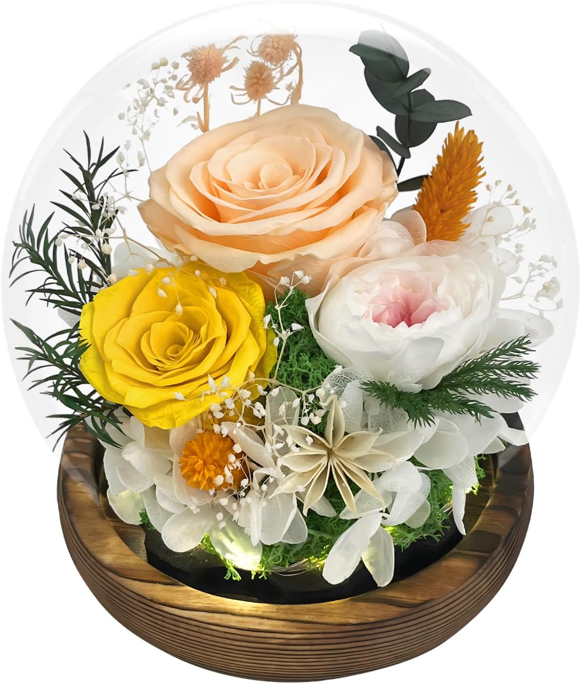 FIACO Valentines Day Gifts for Her Preserved Flowers in Glass Dome Long-Lasting Eternal Fresh Roses Birthday Gifts for Women Mom Grandma Wife Girlfriend Forever Flowers for Delivery Prime Decorations
