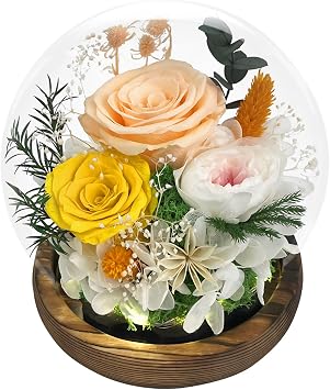 FIACO Gifts for Mom Flowers for Delivery Birthday Gifts for Women Grandma Forever Preserved Eternal Rose in Glass Dome Mother Days Valentines Anniversary for Girlfriend Wife Her, Champagne