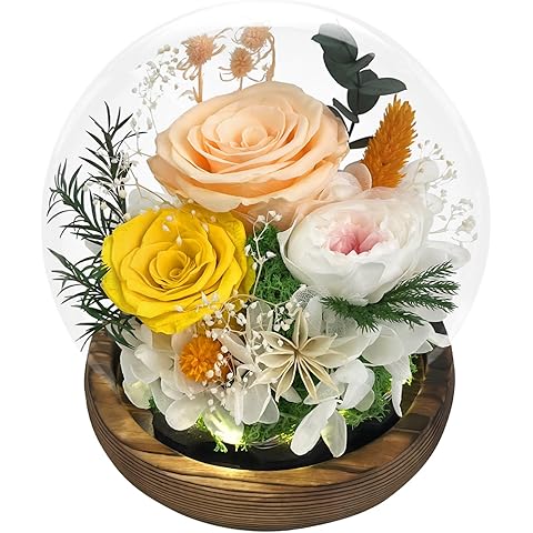 FIACO Valentines Day Gifts for Her Preserved Flowers in Glass Dome Long-Lasting Eternal Fresh Roses Birthday Gifts for Women Mom Grandma Wife Girlfriend Forever Flowers for Delivery Prime Decorations
