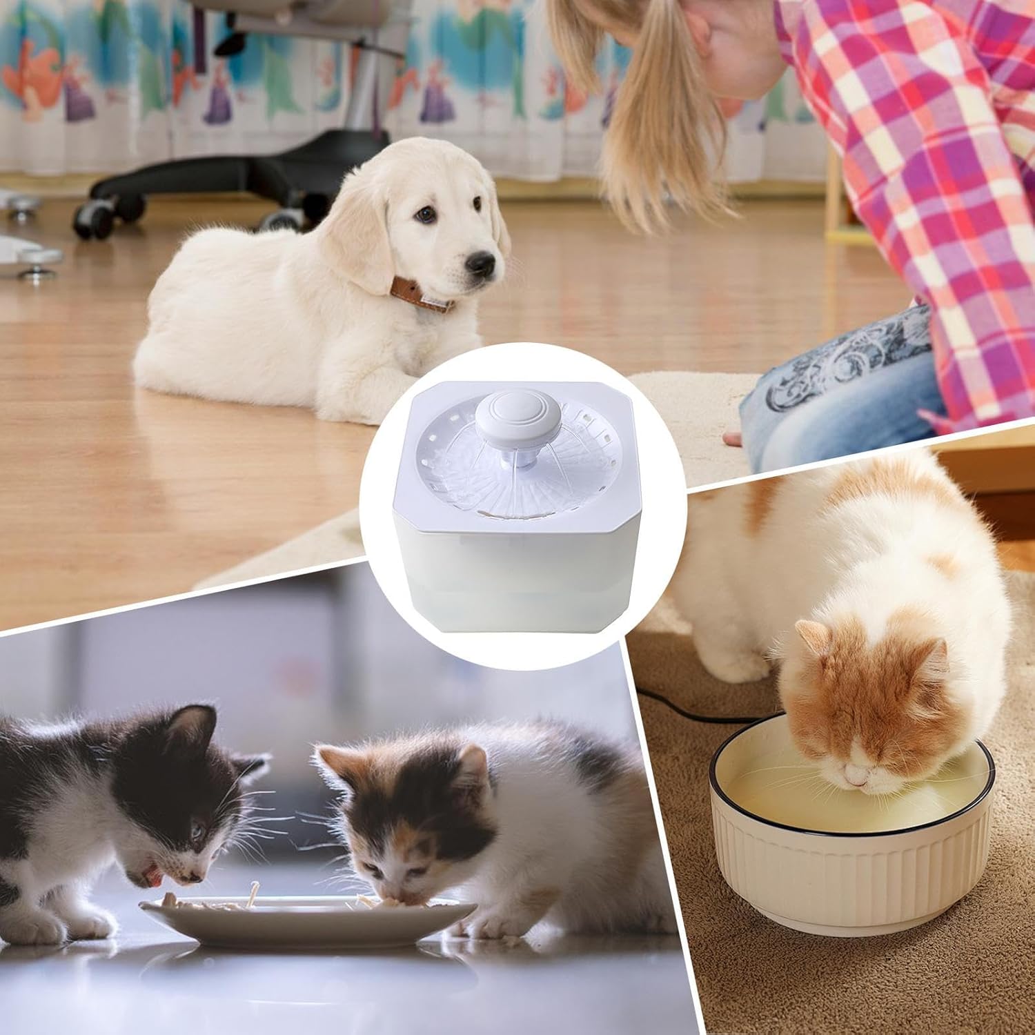 Cat Fountain - 2500ml Large Capacity USB Rechargeable Pet Accessories - Cat Water Dispenser - for Puppy Animal Travel Crate House Outside Feeding Tipping Night Hot Day Offices Indoor Home