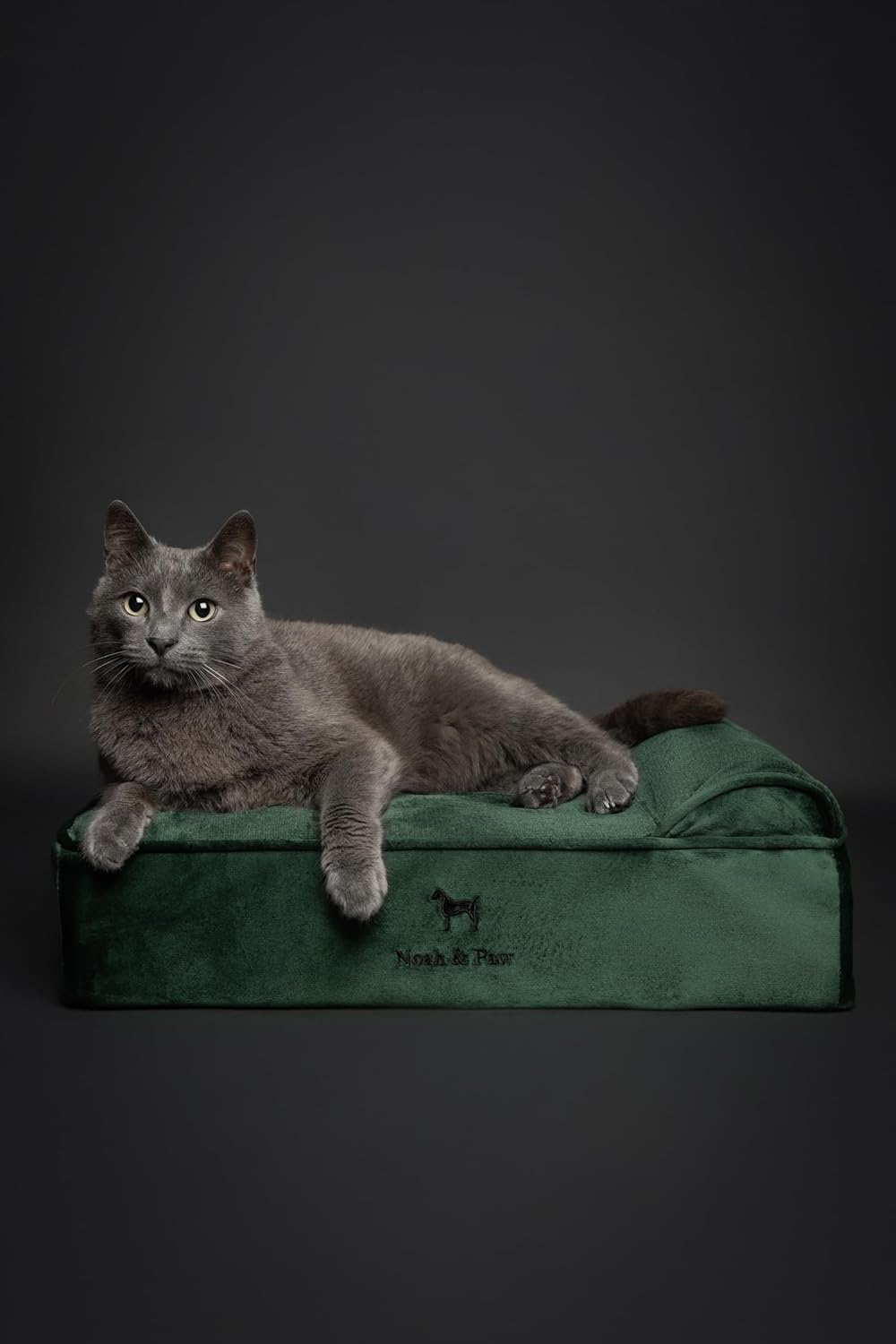 Ultimate Comfort: Review of the NOAH & PAW Small Dog Bed with Cooling Gel Memory Foam