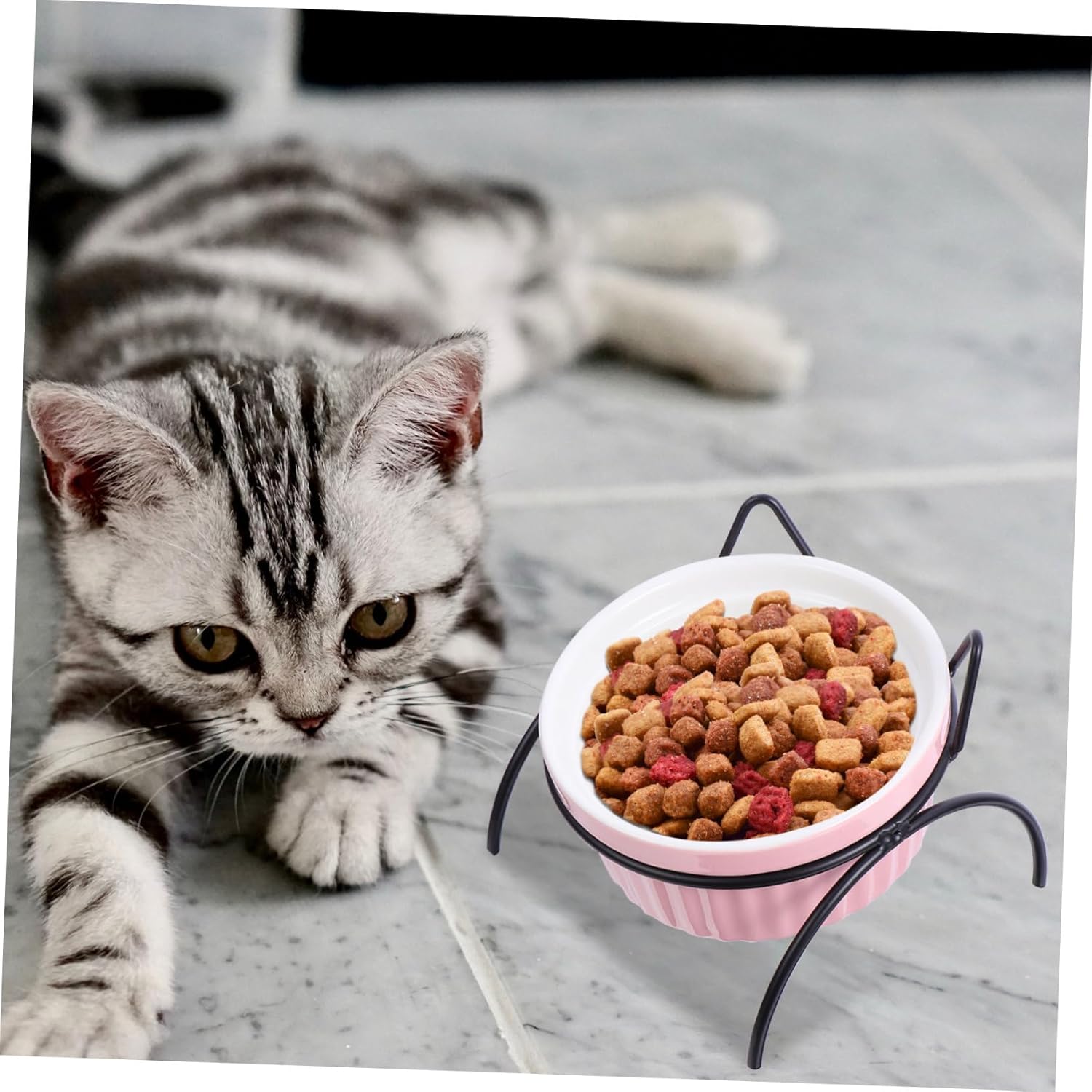 YARNOW 4PCS Elevated Ceramic Cat Bowls Metal Stand Tilted Raised PET Food Dish Set for Cats Non-Slip and Easy to Clean