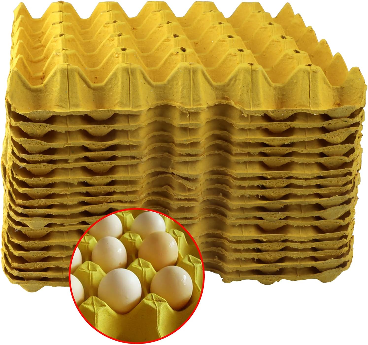 30Cell Egg Crates (20 Trays) ,Stackable Pulp Fiber Egg