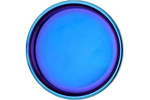 Avanchy Stainless Steel Plate - Best 9" Toddler Plate