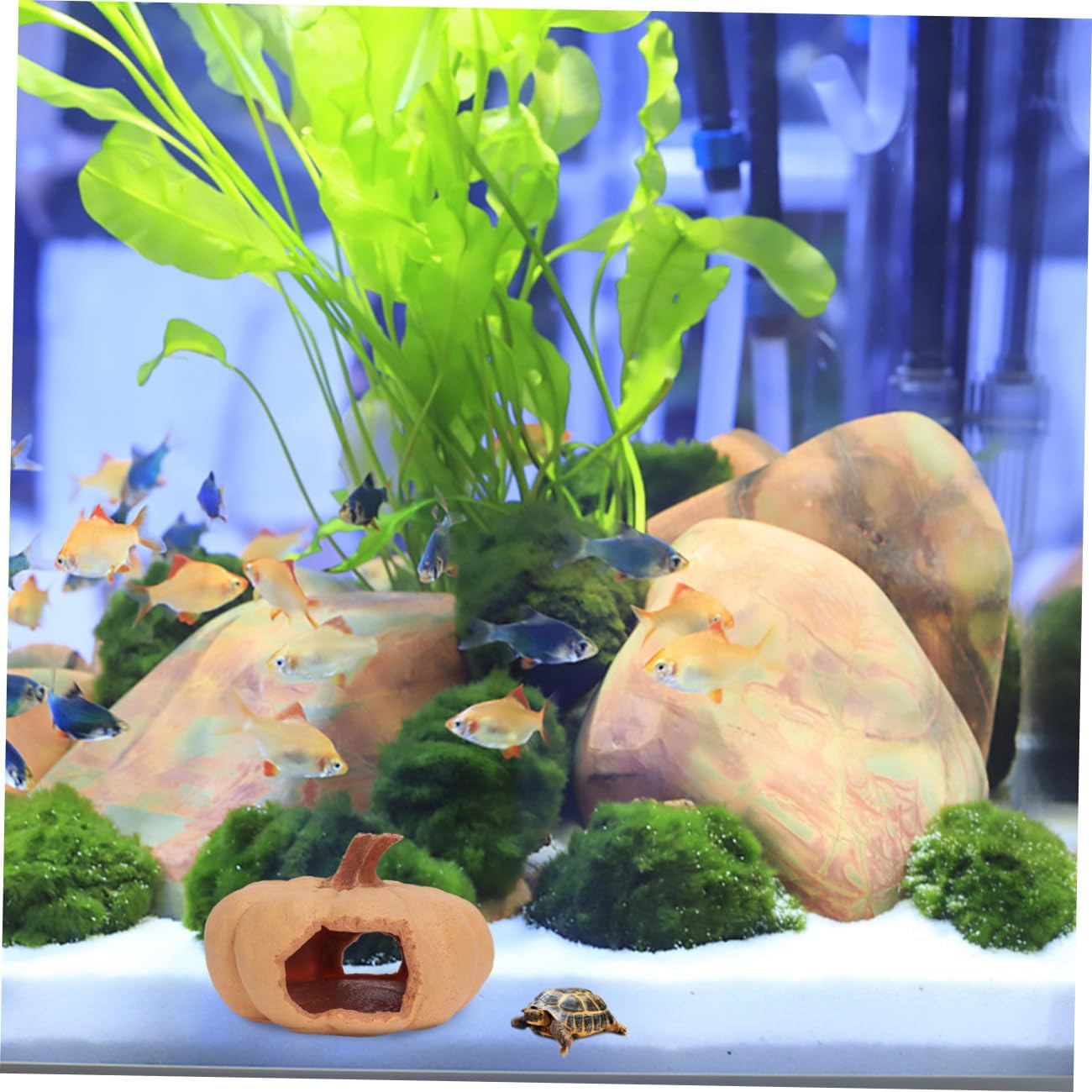 Pumpkin Reptile Hideout Cave Outdoor Terrarium Shelter Landscape Decoration for Snakes Geckos, Sturdy Aquarium Environment Accessory for Crawling Pets