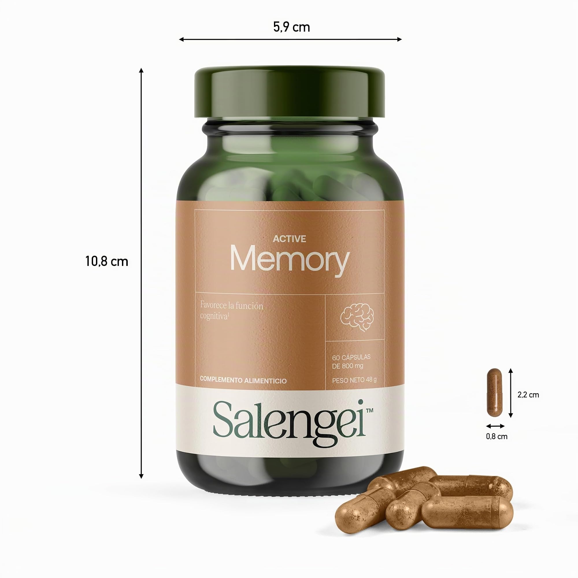 ACTIVE MEMORY - Memophenol (Polifenoles) | Longvida (Curcumina) | A base de plantas, Vitaminas del grupo B y Antioxidantes | Favorece la función cognitiva, la memoria y la concentración |