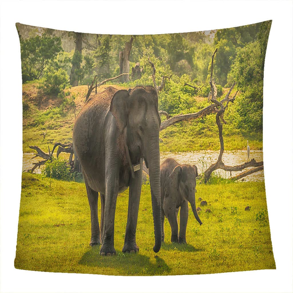 Manta de Franela para Sofá Animales y Elefantes Manta de Franela para Cama, Manta para Mascotas, Mantas Ligeras, Extra Suave Cálido 180x200 cm