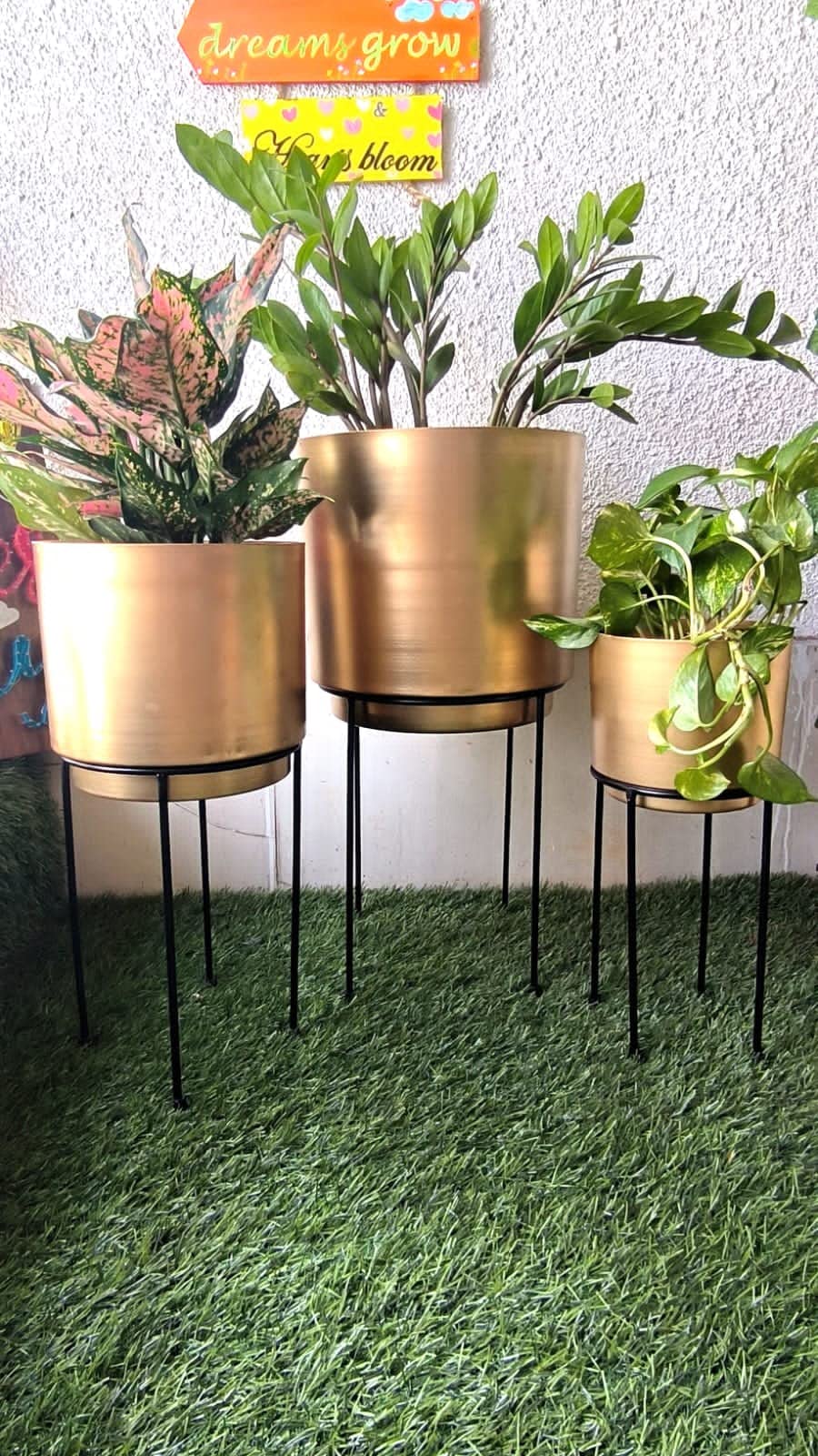 INSHREYS Set of 3 Mid Century Golden Large Planters with Black Metal Stand for Snake, Palm, Spider, Monstera Plant Modern Decorative Purpose for Living Room, Balcony, Entrance, Office Reception 4