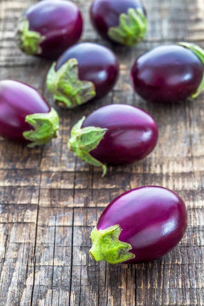 Mini Bambino Eggplant 10 Seeds, Heirloom,Organic,Dwarf Plants,Never Bitter Fruits,Harvest Until Frost!