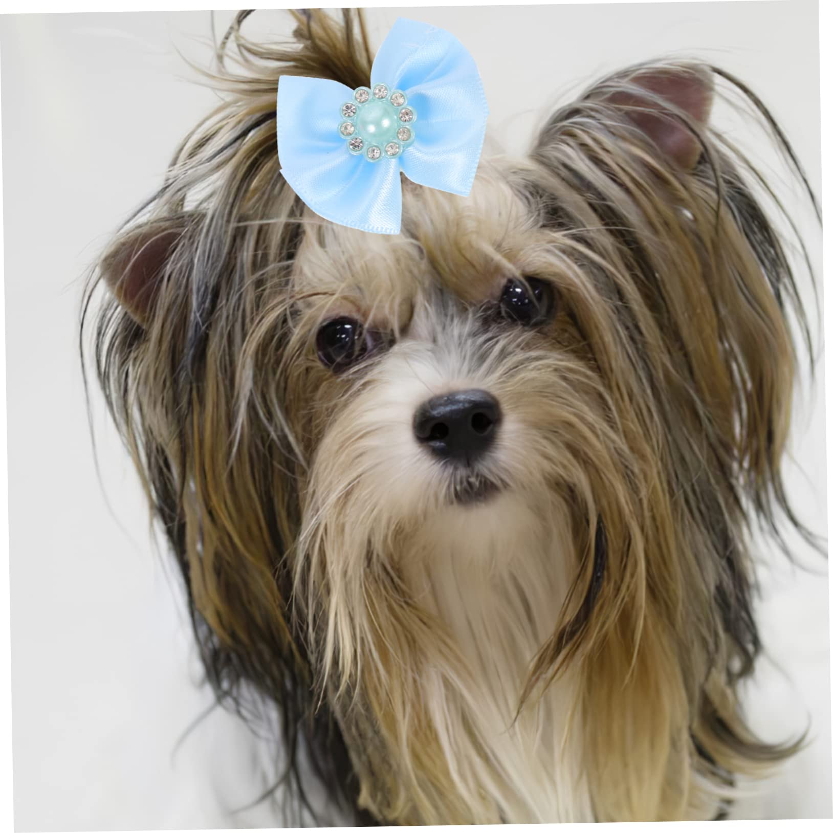 50 stuks schattige huisdier hond strikken haaraccessoires verzorging puppy haaraccessoires met elastiekjes huisdier hoofddeksels kopen vanaf een prijs van 7.47