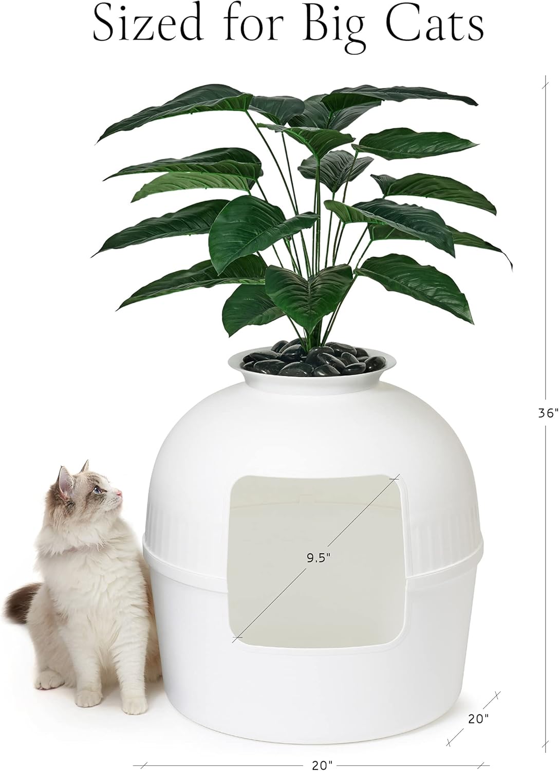 tree litter box