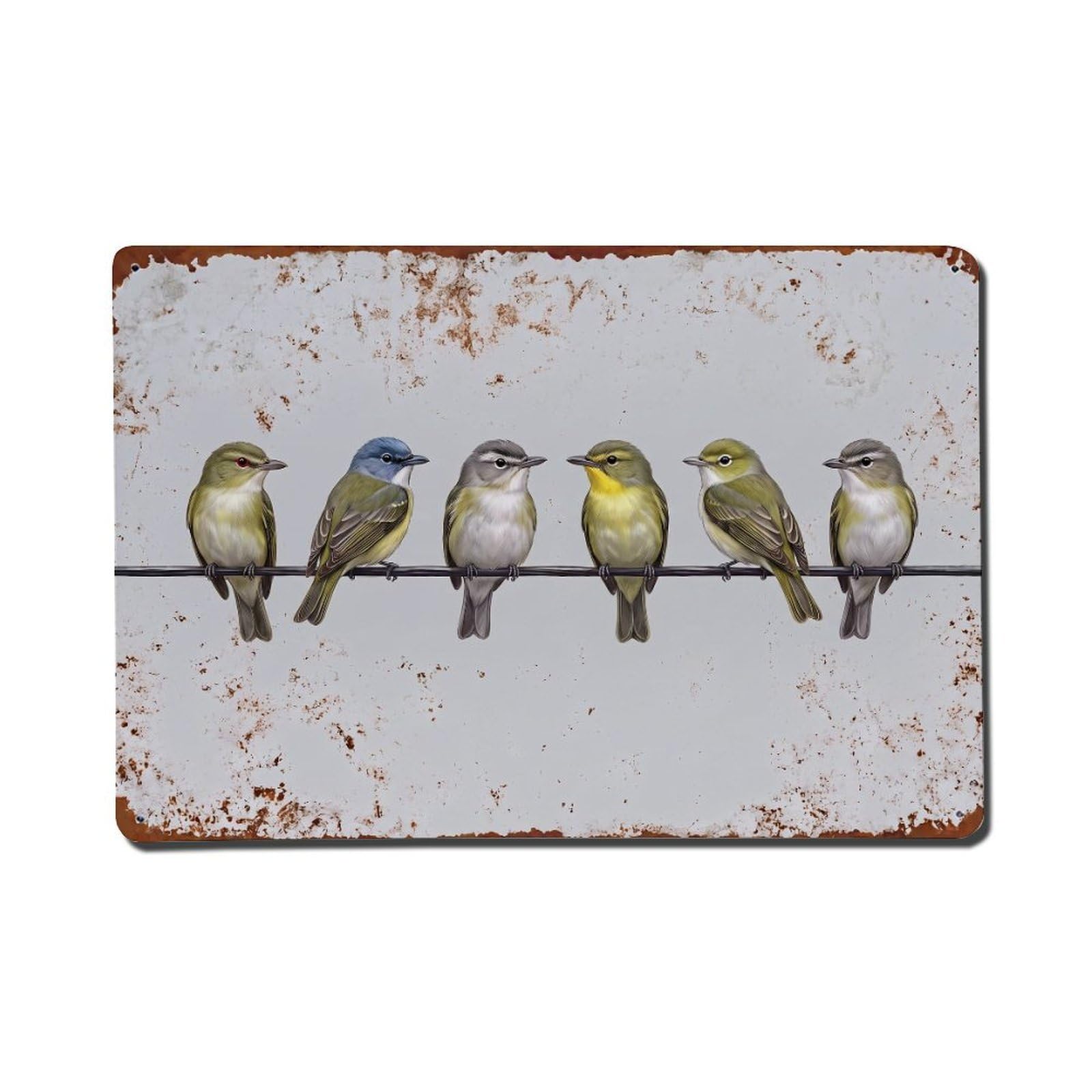 Vintage Retro Birds Vireo Metal Tin Sign