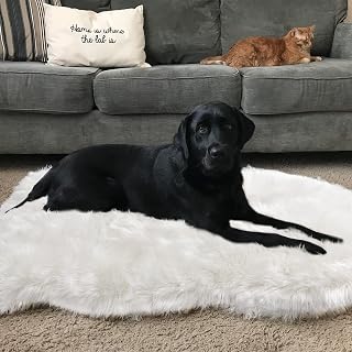 Asrug Soft Faux Fur Pet Mat Plush and Fluffy Dog Rug Ultra Cozy Pet Throw Rug for Dogs Cats, Luxury Soft Faux Sheepskin Chair Cover Seat Pad Shag Fur Dog Rugs Bed for Bedroom, White, 3ftx5ft