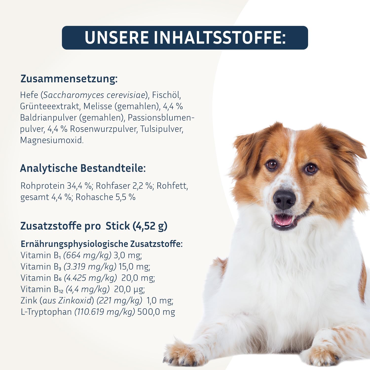 PetFokus Happy Relax Hunde Baldrian Melisse Grüntee Tryptophan Pulver 135 g