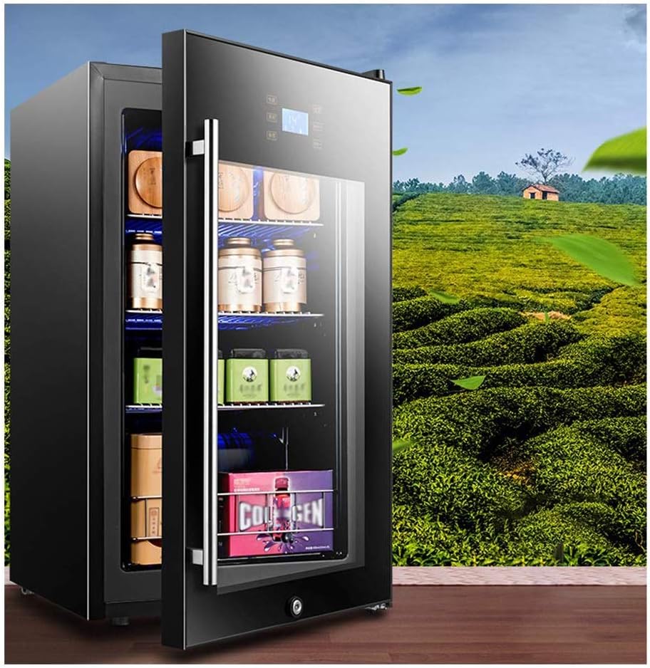 Multifunctional Wine Cooler Refrigerator, Compressor Wine Bottle Cooler, Low Vibration Mute, Free-Standing or Built-in