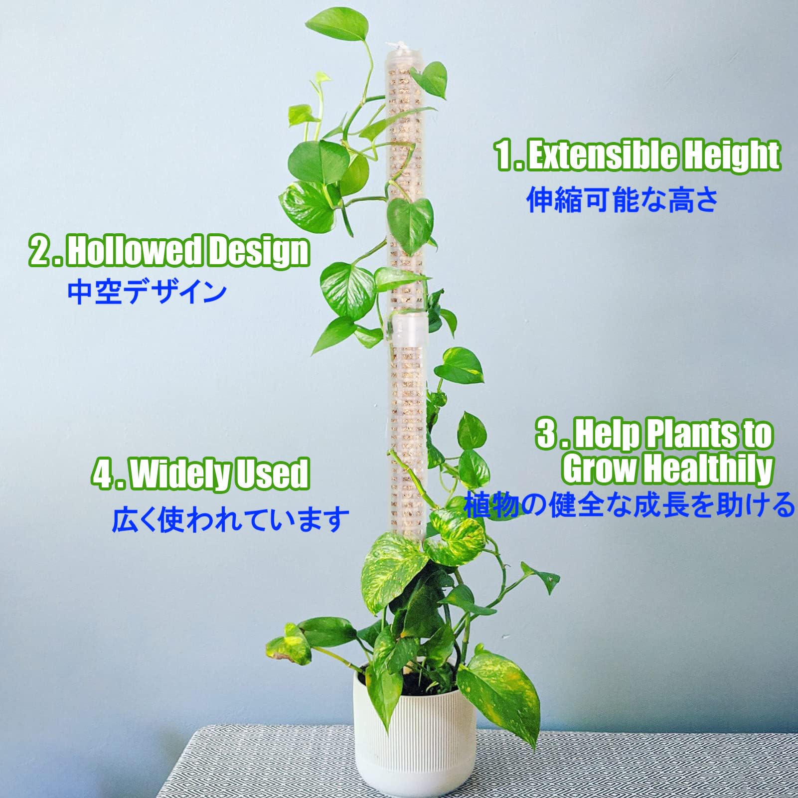 モスポール 水苔入り済 生産プロの秘訣 植物用上り棒180本まとめ29cm
