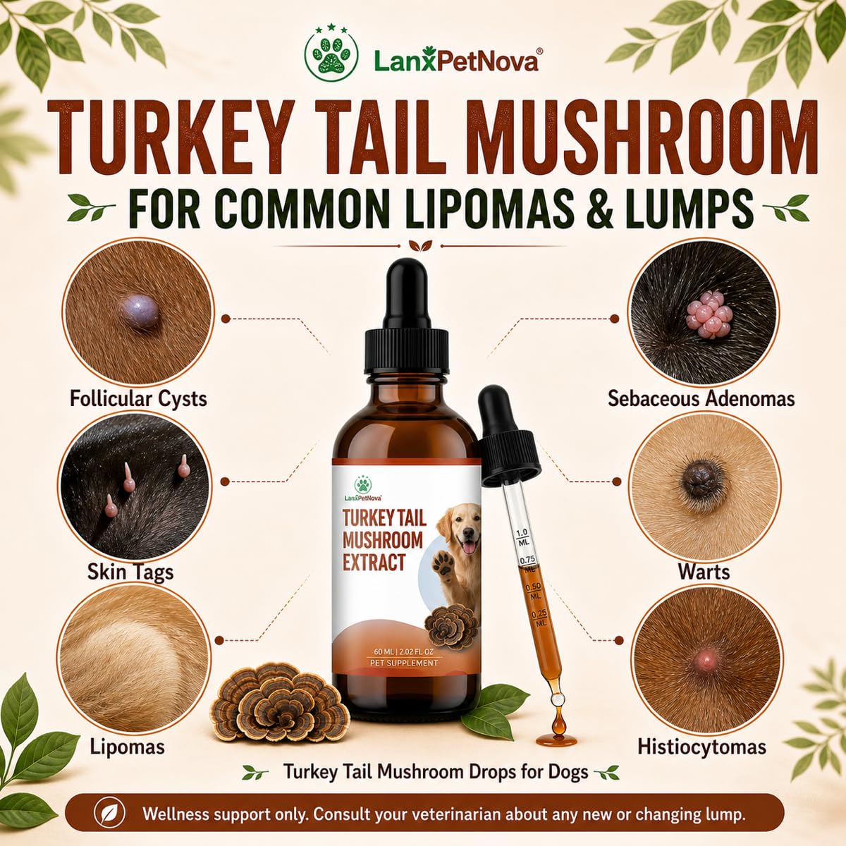 Extracto de Hongo Cola de Pavo para Perros y Gatos, Gotas Líquidas con Reishi, Chaga y Omega-3, para Mascotas Mayores, Sensibles y Debilitadas, Apoya el Sistema Inmunológico, Digestión, Vitalidad