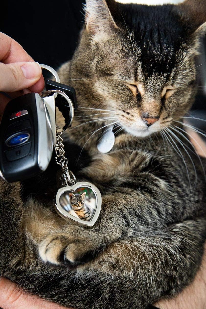 Pearhead womens Pet Keychain - Image 3