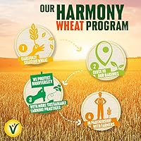 Vista 5 de Belvita Galletas de chocolate rellenas suaves 250G