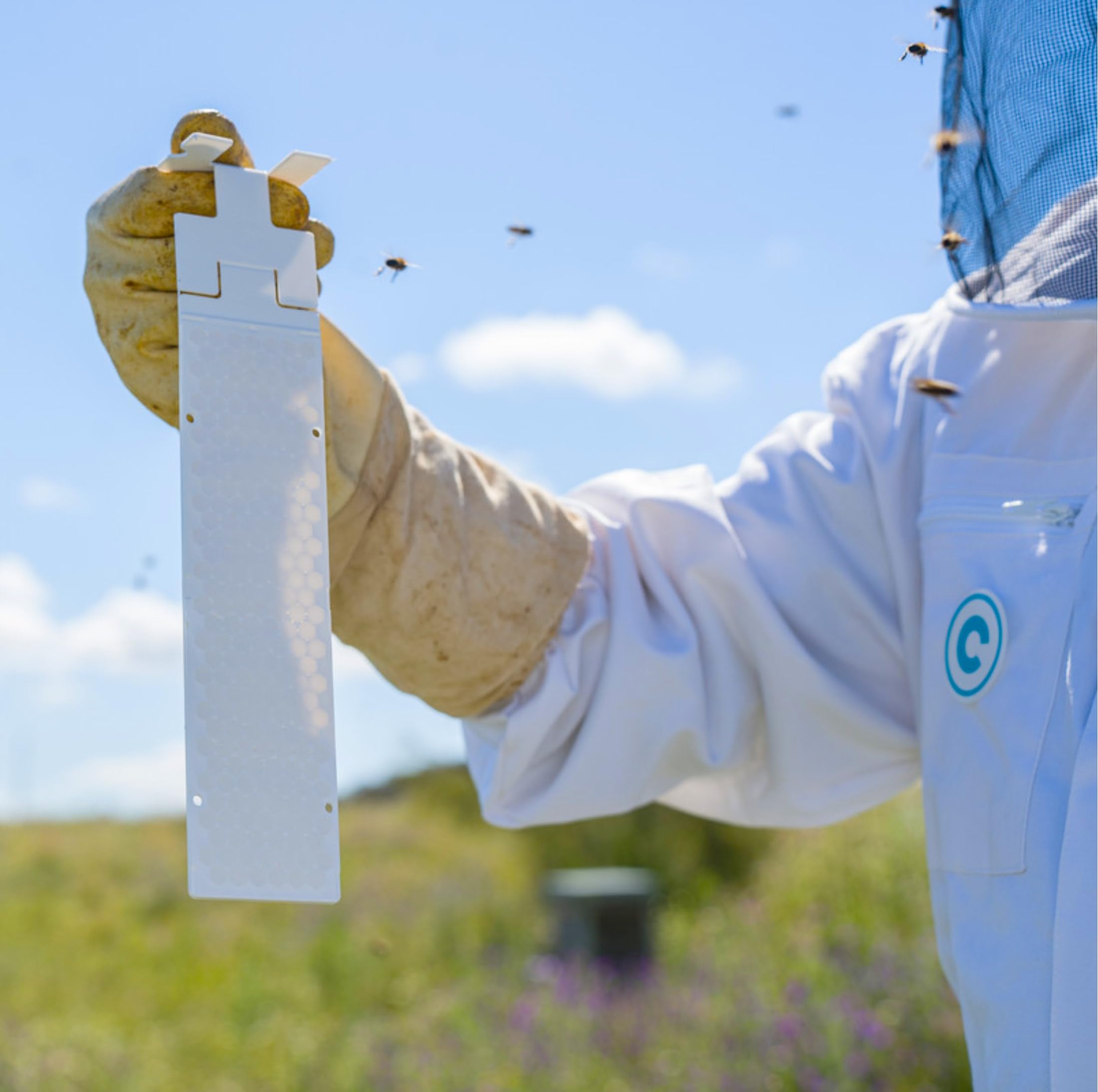 Strisce di acido ossalico Calistrip BIOX 10 pezzi per 5 colonie di api | Trattamento Varroa per api | Effetto a lunga durata fino a 6 settimane | Autorizzato UE e adatto per apicoltori biologici