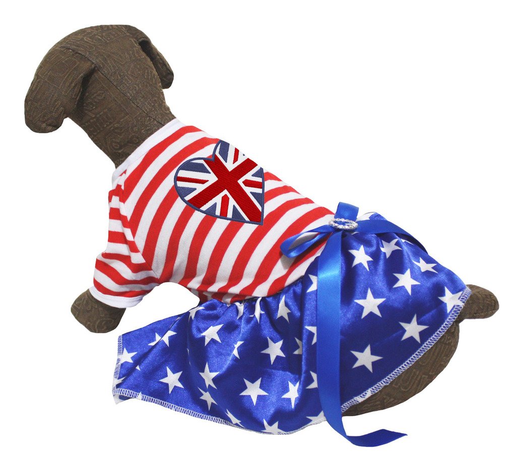 Robe de chien bleu avec tutu à étoiles pour les sorties au parc en été