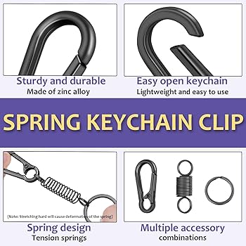 Amazon.com: 4Pack Small Carabiner Keychain, Spring Keyring Holder