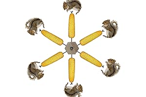 Squirrel Spinner Feeder,Keep Squirrels Entertained with its Spinning Motion