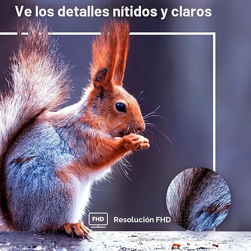 Miniatura 5 de Hisense Smart Roku TV de 40 pulgadas Serie A4 FHD 1080p con compatibilidad Alexa (40A4NR) - Dolby Audio, diseño de bisel delgado, Asistente de Google