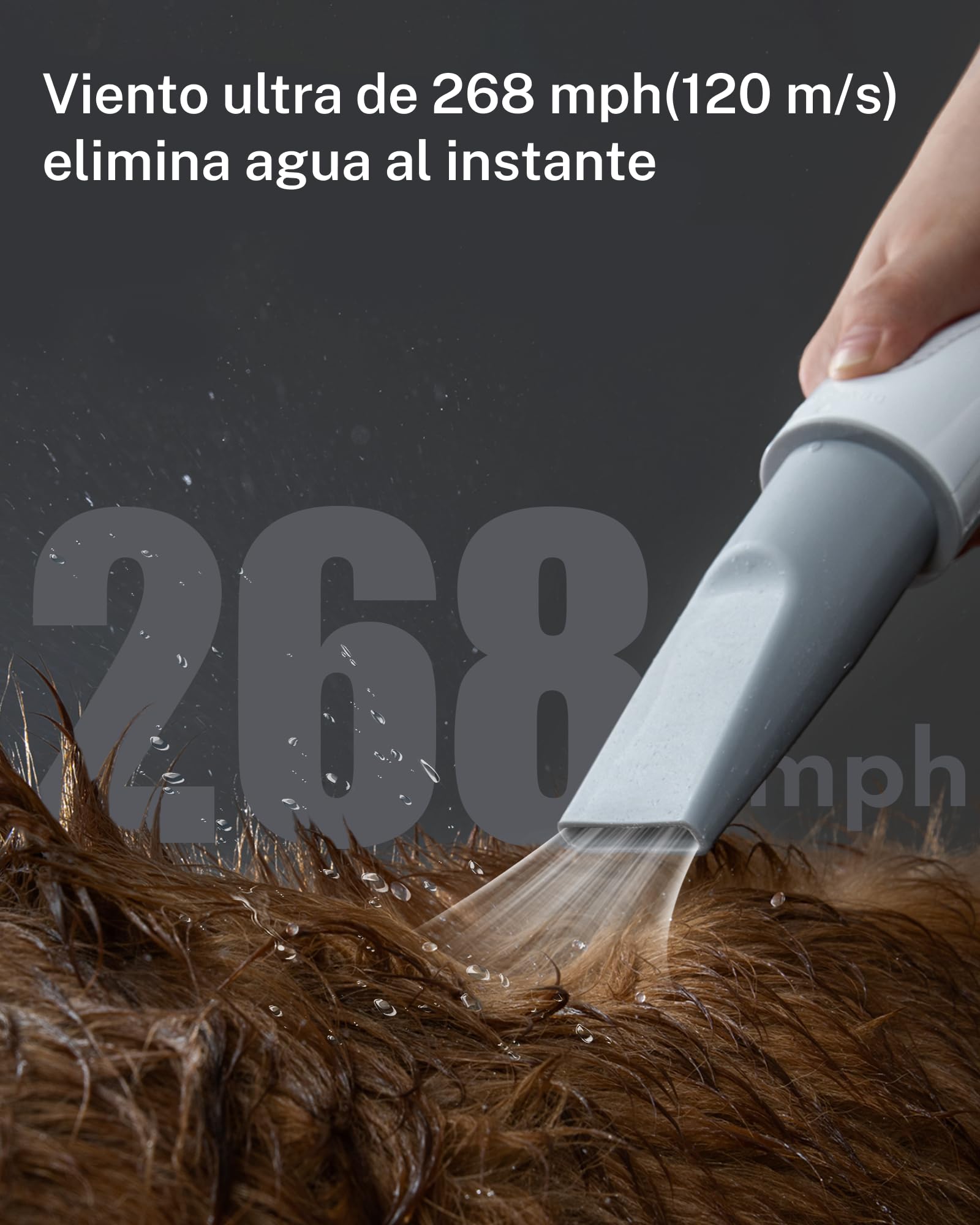 HomeRunPet Ultra-Silencioso Secador de Pelo de Perro para la Peluquería Canina, Secador de Perro de Calidad de Salón, 99 Velocidades y Control de Temperatura Perro Soplador con 3 Boquillas Diferentes