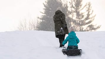 Pelican Nomad 40 Sled - 4 Season Sled - Any Outdoors Activities - Carry Up to 90 lb