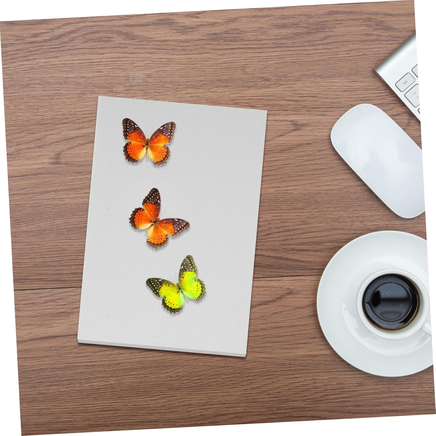 MAGICLULU 3pcs Insect Display Butterfly Mounting Tool with Material for for Entomology Kits and Science Education and Versatile Use
