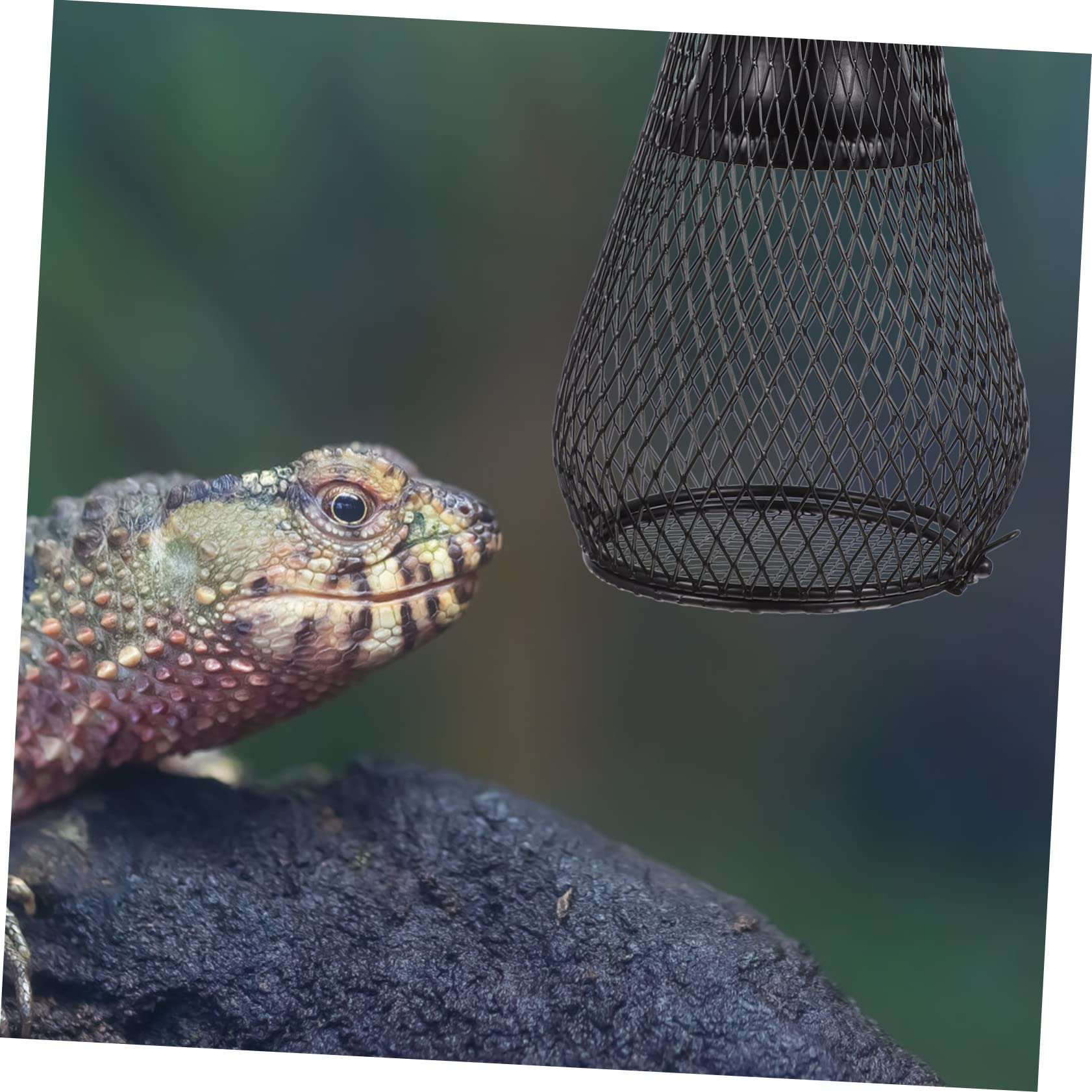 Supvox Reptilienlampenabdeckung Schutzabdeckung Schwarz aus Eisen mit Netzform zur Vermeidung von Verbrennungen Kronengecko Zubehör für Heizlampen Installieren im Pet Climbing Kasten