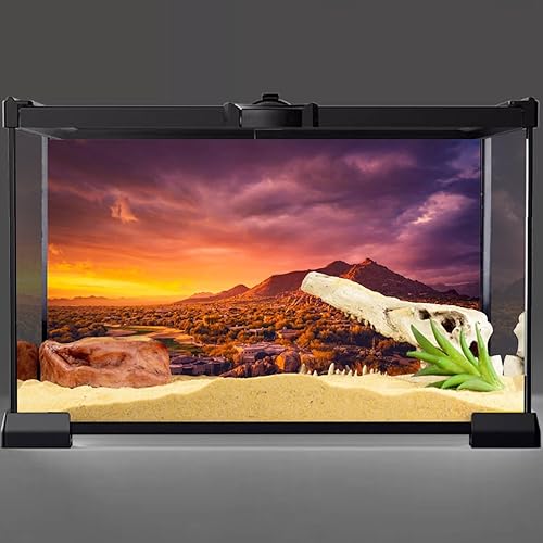 Miniatura 2 de AWERT 36x18 pulgadas Sol Y Desierto Terrario Fondo Montaña Oasis Gobi Reptil Hábitat Fondo Poliéster Peces Tanque De Peces