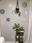 Review Image by Amazon Customer
