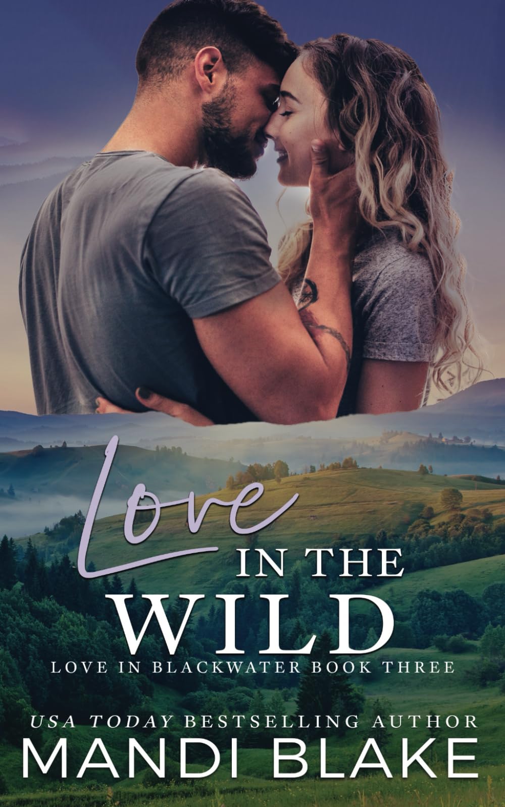 Love in the Wild: A Small Town Christian Romance (Love in Blackwater)
