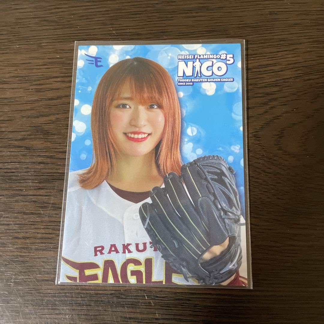 Amazon.co.jp: 平成フラミンゴ NICOちゃん : おもちゃ