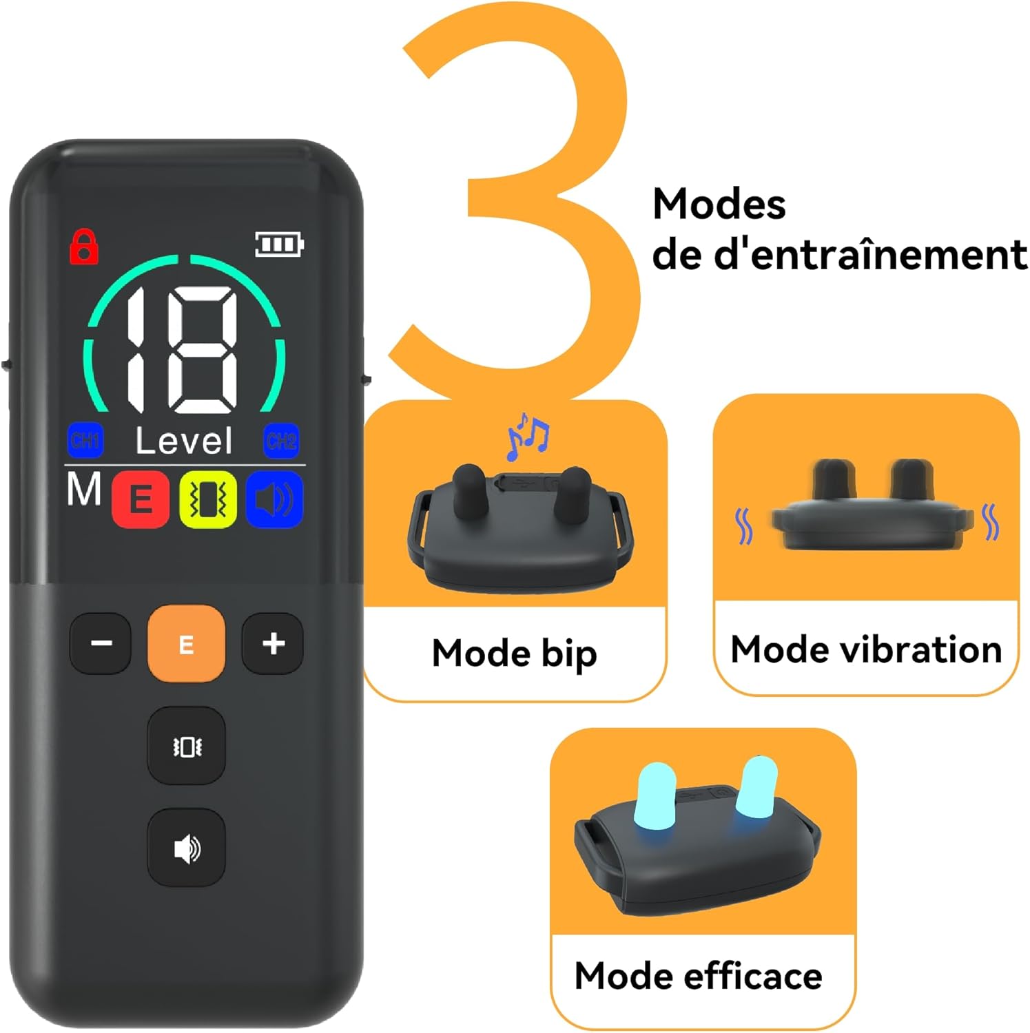 Utilisation sur le terrain du collier Meloive pour chien