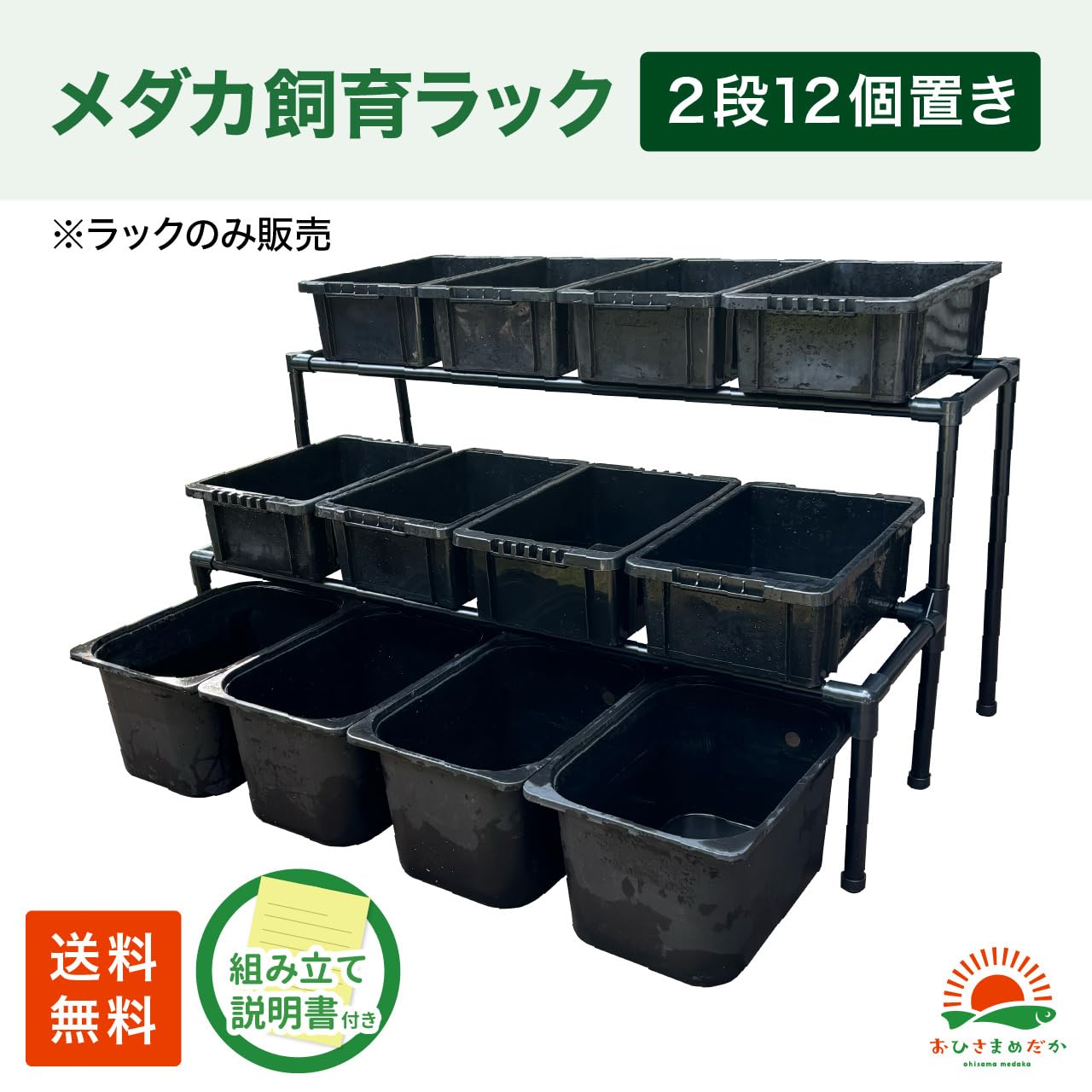 Amazon | おひさまめだか メダカ飼育ラック ブラック メダカ棚 2段12個