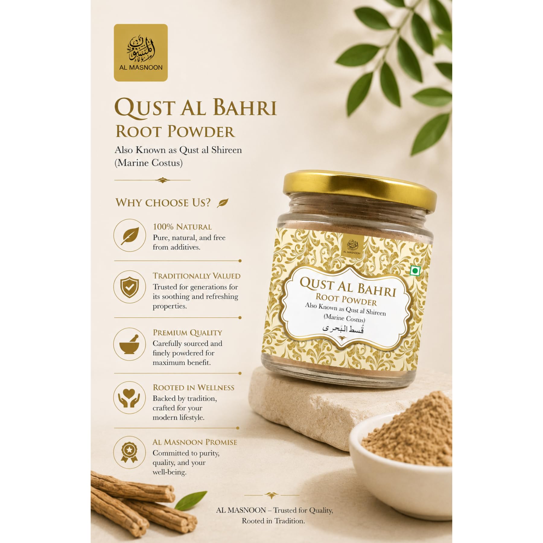 Al Masnoon QUST AL BAHRI ROOT POWDER/QUST SHEERIN 100G (PACK OF 1) 100% NATURAL & POWDER 1