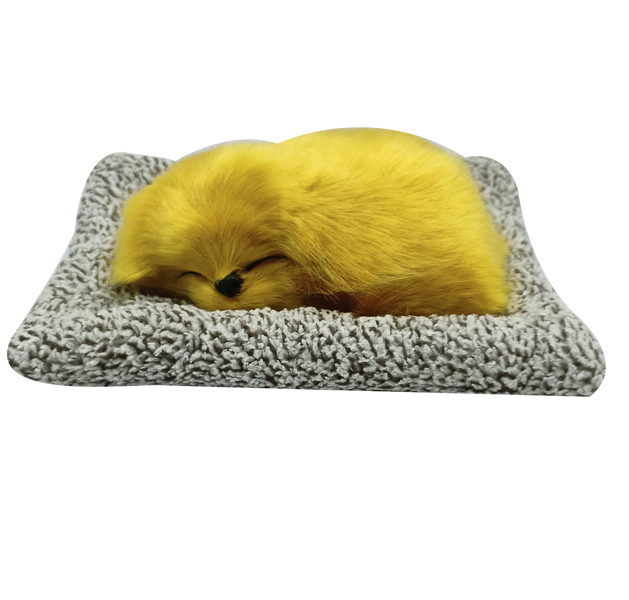 See full amazon price history chart for Himaja Little Shopee™ | Ultra Soft Cute Sleeping Dog with Matt | Gift for Boys, Girls, Childrens | Birthday Gift | Size 18cm (Small, Gold) Himaja Little Shopee™ | Ultra Soft Cute Sleeping Dog with Matt | Gift for Boys, Girls, Childrens | Birthday Gift | Size 18cm (Small, Gold) (B0CK7553V3) Amazon Price History, Amazon Price Tracker