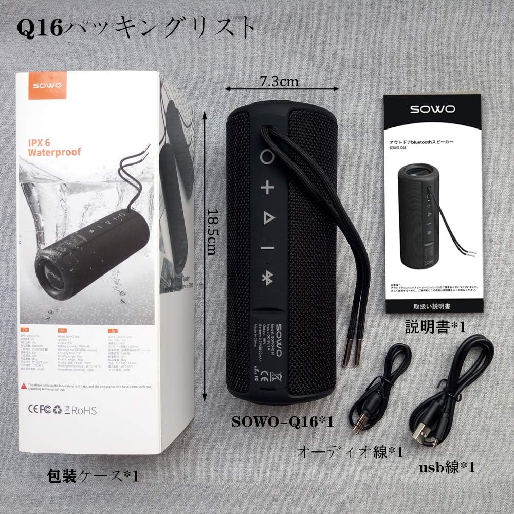 SOWO Q16 speaker and accessories laid out, including the speaker, USB cable, AUX cable, and user manual.