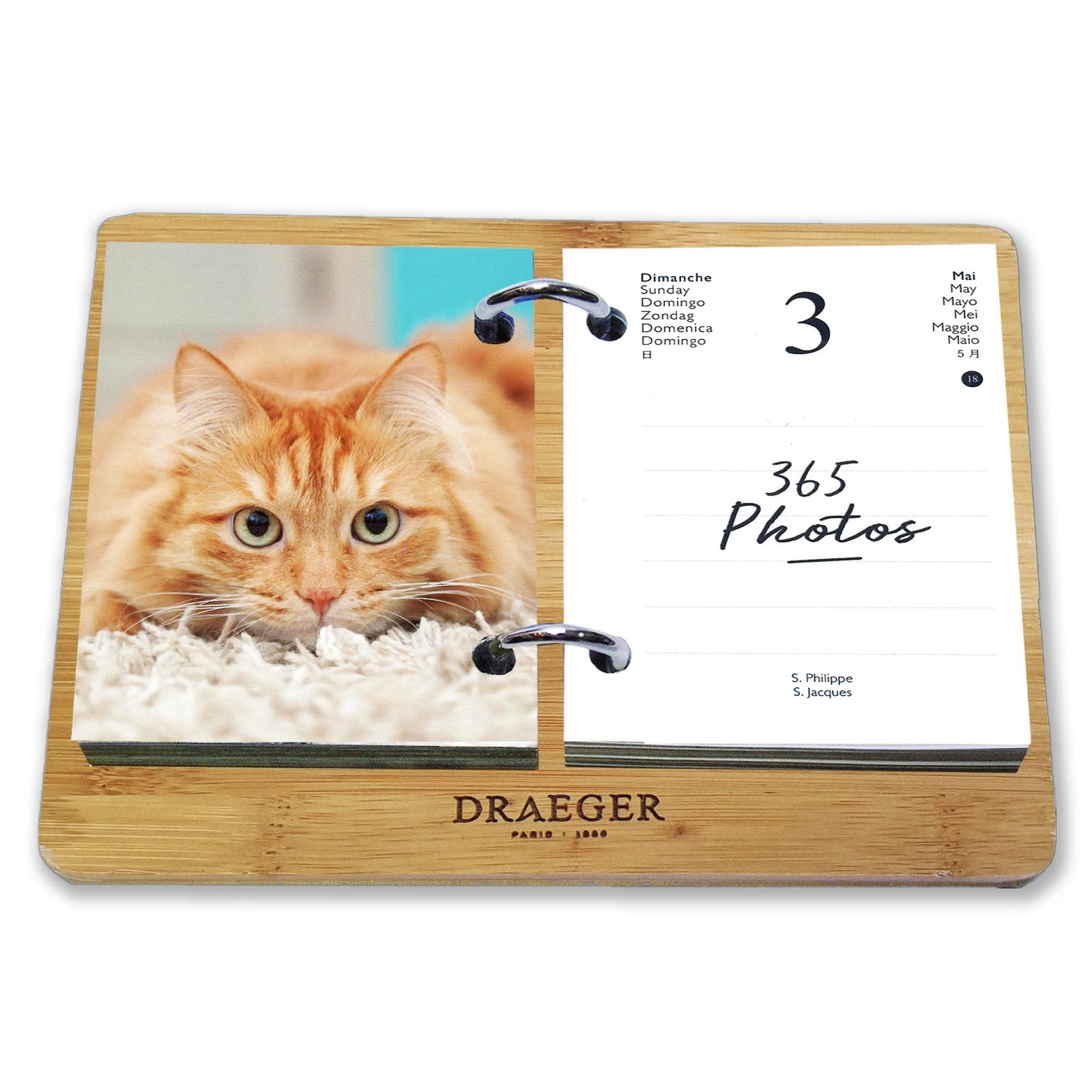 Amazon | ドレジャー 2026年 365日日めくりカレンダー 猫 動物 卓上