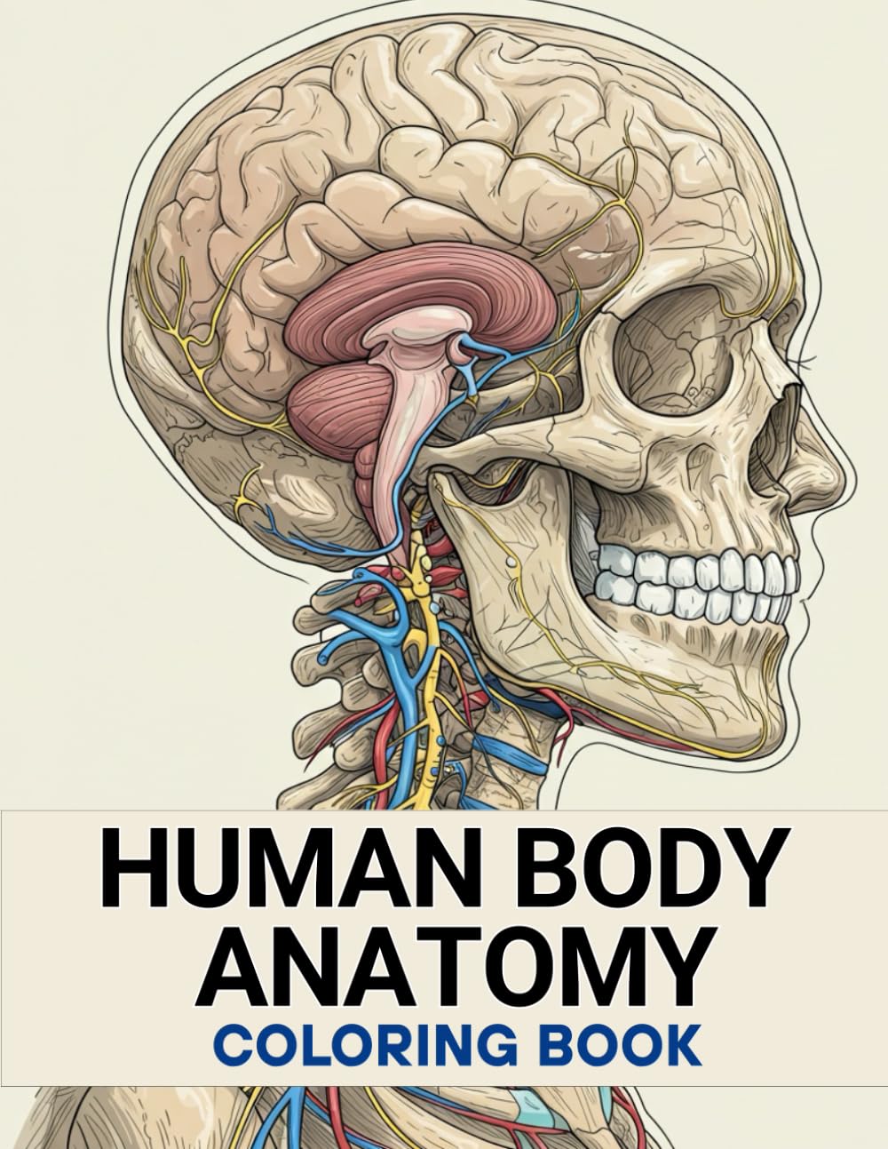 Human Body Anatomy Coloring Book: 50 Illustrations & Fun Facts for Learning and Creativity