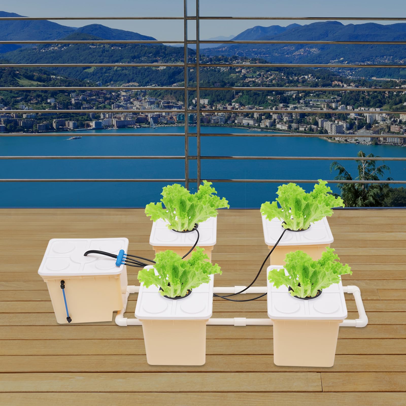 Sistema di coltivazione idroponica da 11 l, sistema DWC idroponico con 5 secchi, 4 tappi di rete, 1 pompa sommergibile, efficiente per interni, per verdure, frutta, fiori, semplice